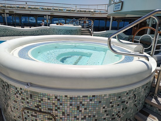 Surfaceと一緒にダイヤモンドプリンセスでクルーズ旅行 2025